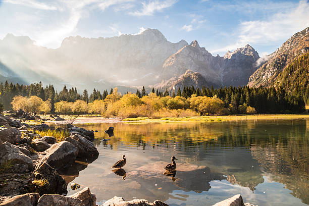 istock Autumn morning in the alps 500035206