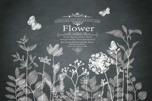 Flowers on the blackboard vector art illustration