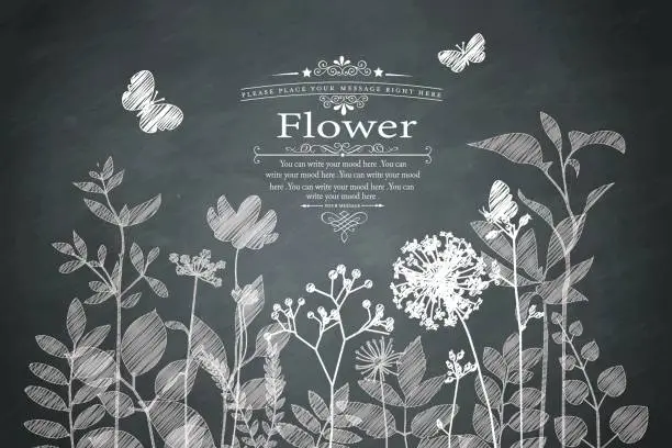 Vector illustration of Flowers on the blackboard