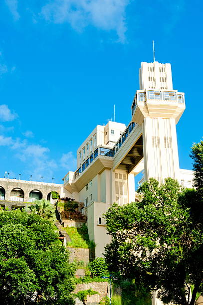 istock Salvador of Bahia 500035819