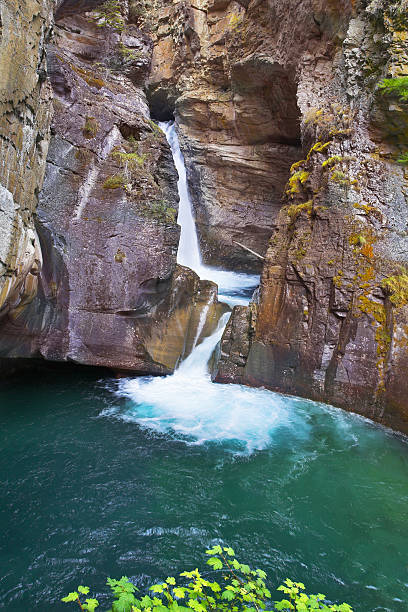 istock Greenish water in forests of Northern Canada 500038003