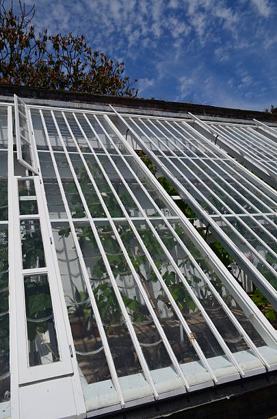 istock Large ornate Victorian style garden greenhouse. 500039373