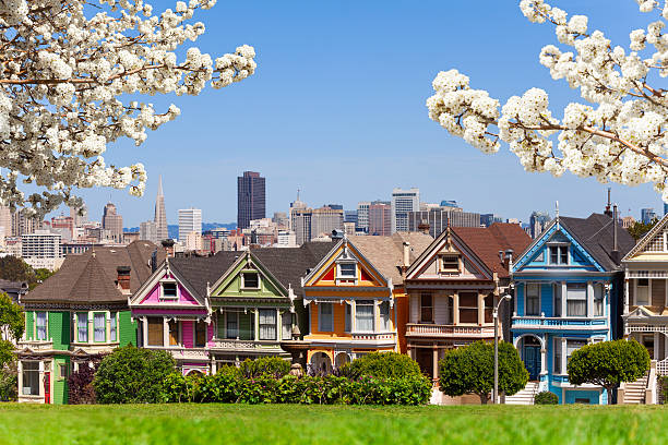 foto de primavera senhoras e senhoras pintadas do san francisco - san francisco county san francisco bay area house painted ladies imagens e fotografias de stock