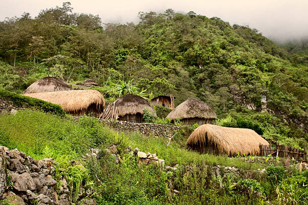 village traditionnel en papouasie - guinée photos et images de collection