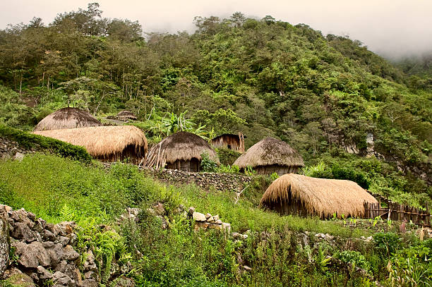 istock traditional village in Papua 500046706
