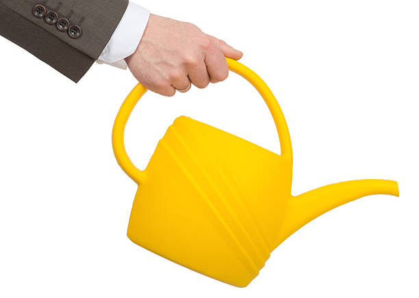 istock Businessmans hand holding watering-can 500049738