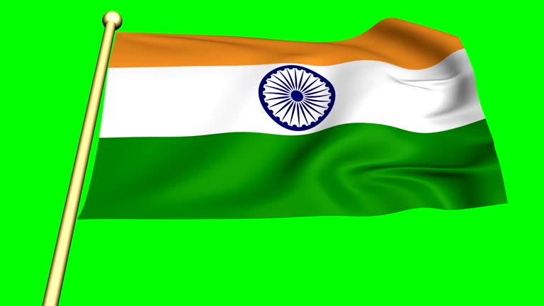 138 Cartoon Of The India Flag Stock Videos and Royalty-Free Footage - iStock 138 Cartoon Of The India Flag Stock Videos and Royalty-Free Footage - iStock