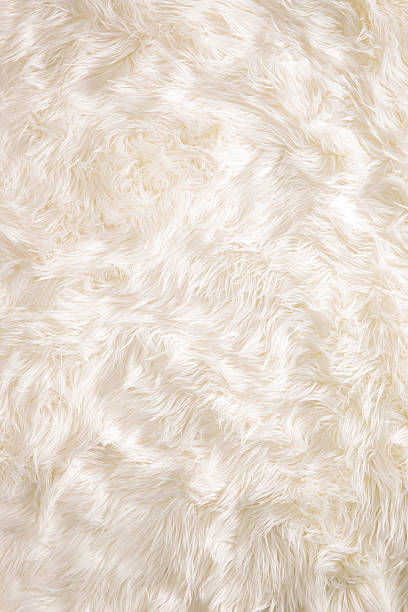 Fluffy White Background Stock Photo - Download Image Now - Backgrounds, Fur,  Textured - iStock