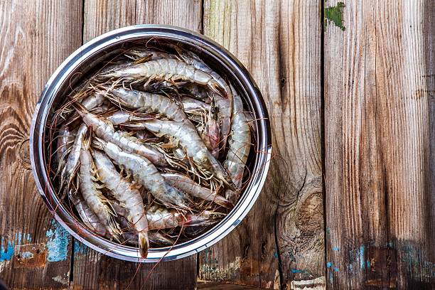 istock Whole fresh raw shrimps seafood 500056782