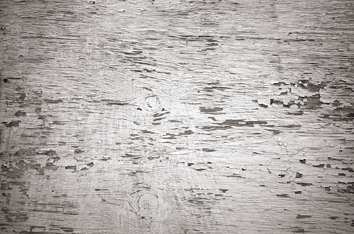 White painted old wood texture background. Full frame