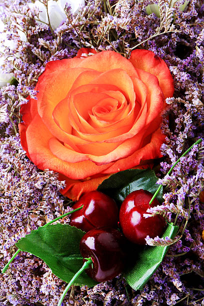 아름다운 꽃 체리 로즈 밸런타인데이 - cherry valentine 뉴스 사진 이미지