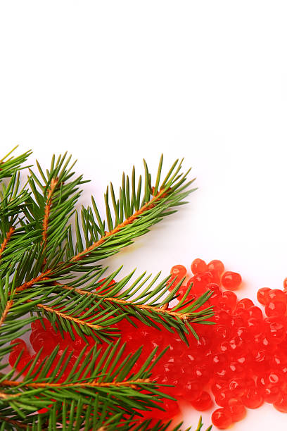 istock Christmas fir-tree branch red salmon caviar isolated on white background 500059394