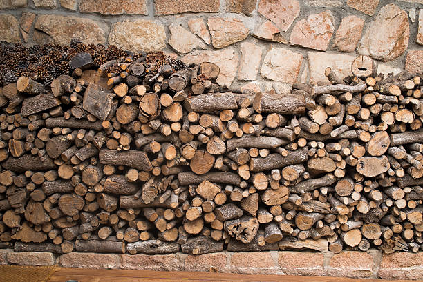 istock Big pile of logs 500059722