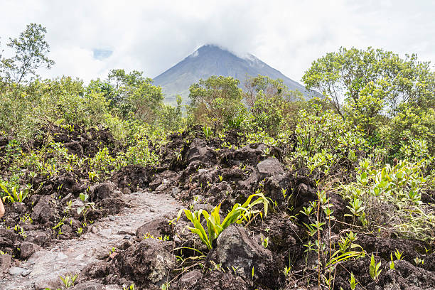 istock Arenal volcano view in Costa Rica 500060320