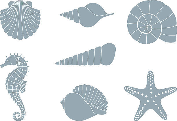 silhouettes of sea inhabitants - seashell illüstrasyonlar stock illustrations