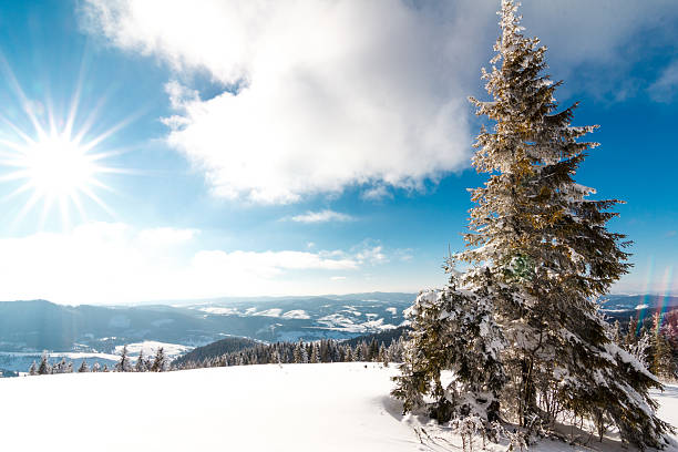 istock Fantastic winter landscape. Blue sky. Carpathian, Ukraine, Europe. Beauty world. 500074708