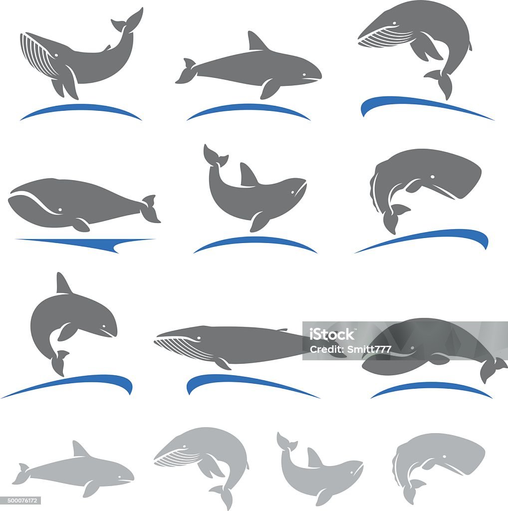 Whale Simple Vector Whale Set Vector Collection Stock Illustration - Download Image Now ...