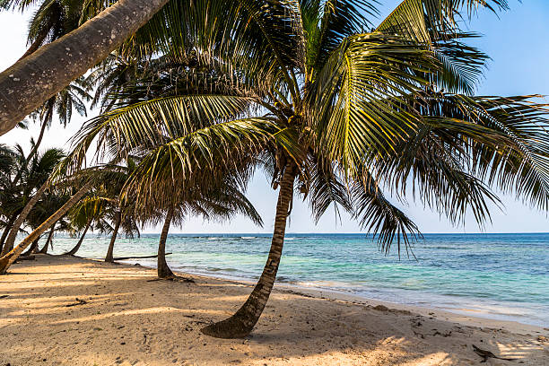 istock Exploring small caribbean Island, San Blas Islands 500076990