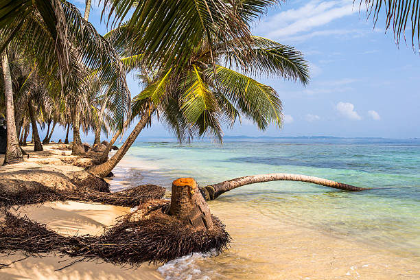 istock Exploring small caribbean Island, San Blas Islands 500077140