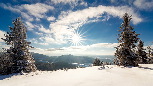 istock Fantastic winter landscape. Blue sky. Carpathian, Ukraine, Europe. Beauty world. 500078286