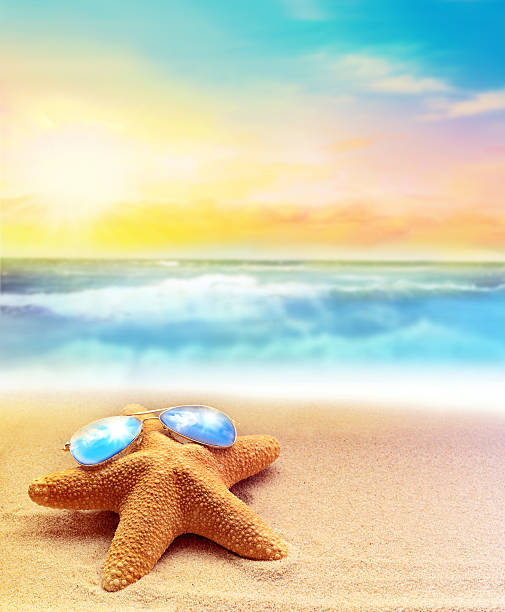 Starfish in blue sunglasses on the summer beach