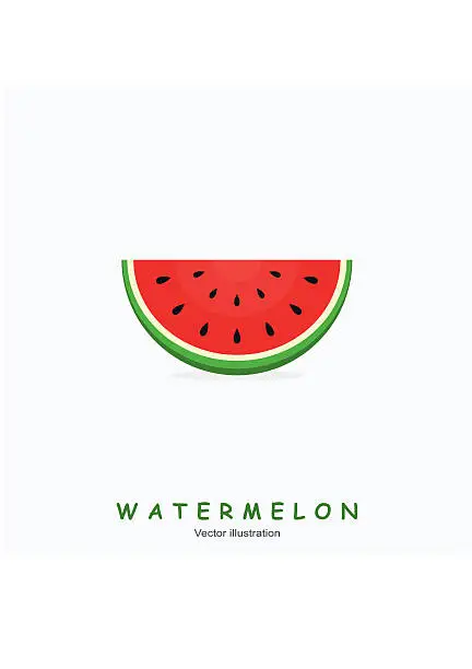 Vector illustration of Watermelon and text on white background.