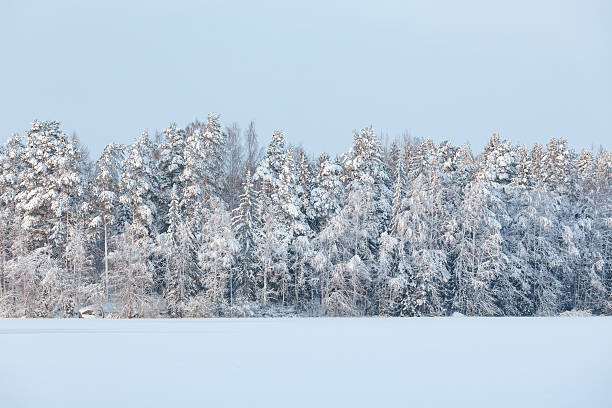 istock Winter lake scenery in finland 500090700