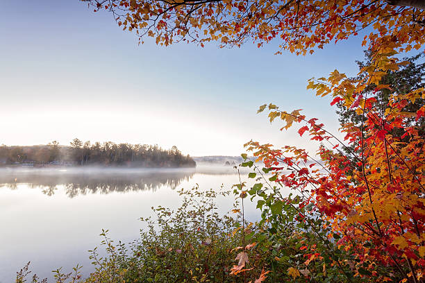 istock foggy morning in Algonquin Provincial Park, Ontario, Canada 500092038