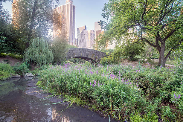 istock Gapstow bridge Central Park, New York City 500092416