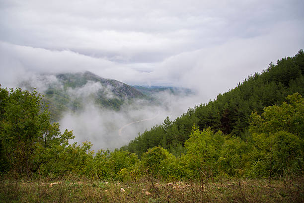 istock Fall colors in afternoon fog, Xanthi 500093188
