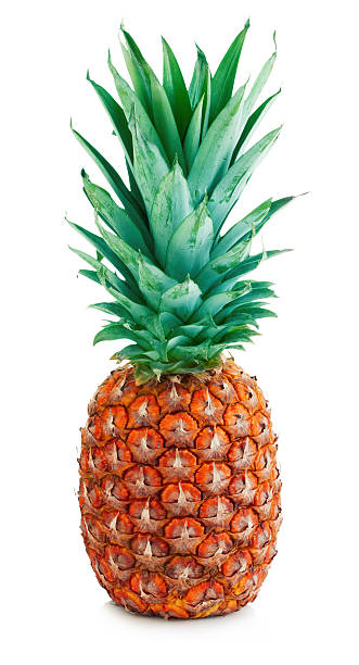 istock Ripe whole tasty pineapple close-up isolated on a white background. 500094488