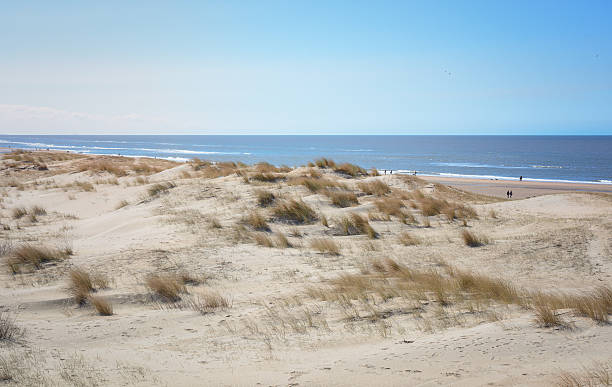 istock Opened view of the sea. 500095838