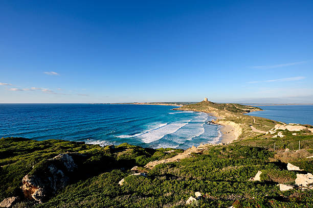 istock Peninsula of Cape San Marco 500096744