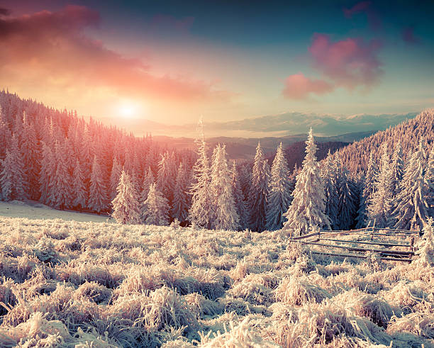 istock First frost in the mountain valley. 500107936