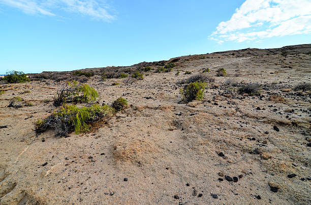 istock Volcanic Rock Basaltic Formation in Gran Canaria 500113876