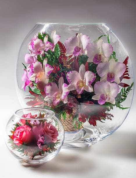 istock Flowers in a glass aquarium 500114556