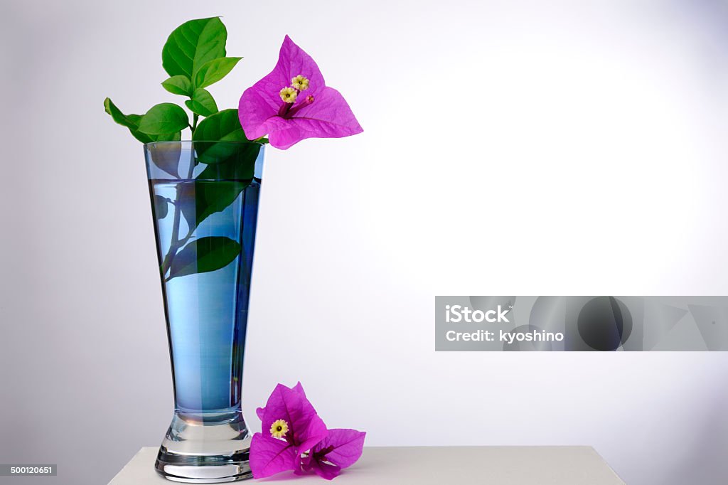 ブーゲンビリアスイートの花瓶 - カラー画像のロイヤリティフリーストックフォト