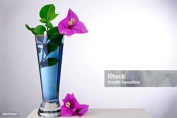 ブーゲンビリアスイートの花瓶 - カラー画像のストックフォトや画像を多数ご用意 - カラー画像, ガラス, クローズアップ