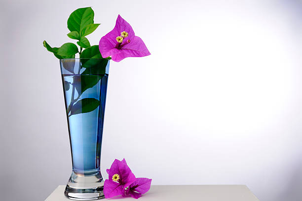 Young leaves in the blue clear bottle