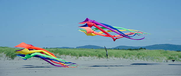 istock Two giant kites landing at Long Beach, WA 500121329