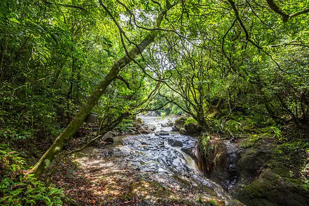 River in the jungle of Panama, El Valle de Anton