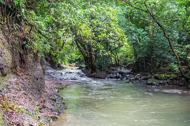 River in the jungle of Panama, El Valle de Anton