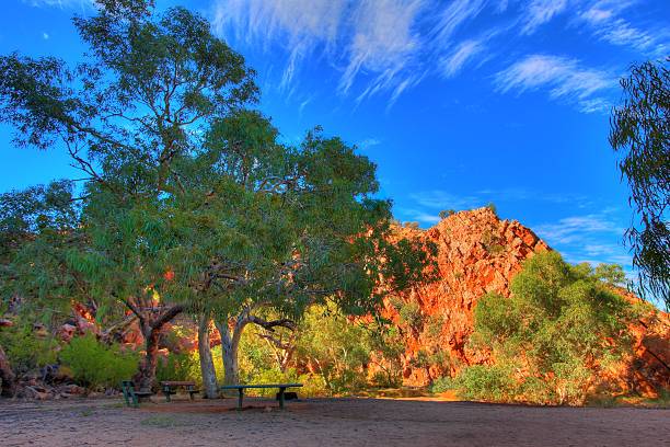 jessie abertura, macdonnell intervalos, austrália - northern territory macdonnell ranges australia eucalyptus imagens e fotografias de stock