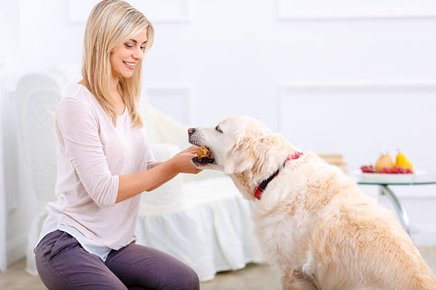 istock Pleasant woman having fun with a dog 500134466