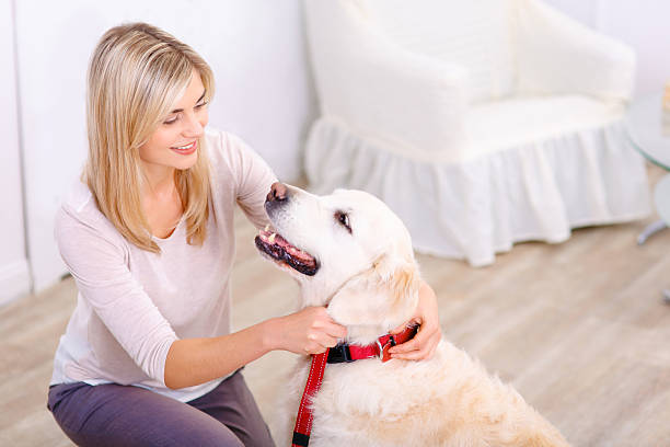 istock Pleasant woman having fun with a dog 500134506