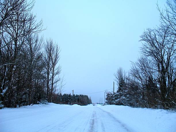 istock Freshly Ploughed Country Road with Snow and Trees 500135110