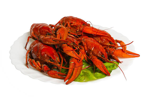 istock Boiled crayfishes on the plate, isolated 500135400