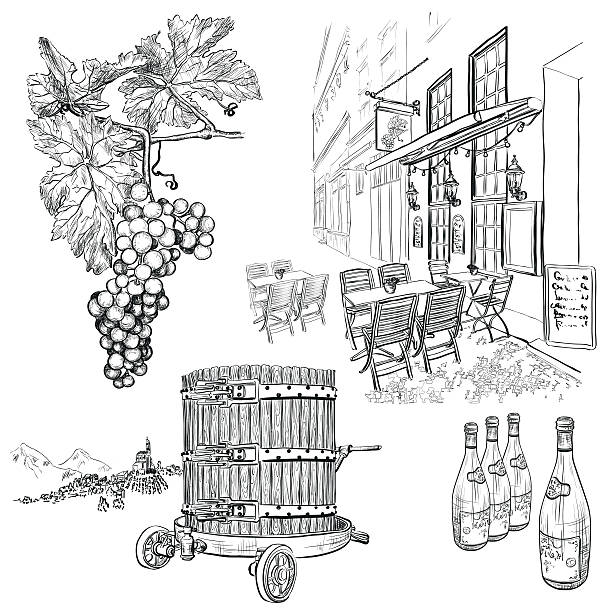 Hand drawn vector wine set vector art illustration