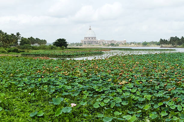 basílica de nossa senhora de paz, de yamoussoukro - our lady of africa - fotografias e filmes do acervo