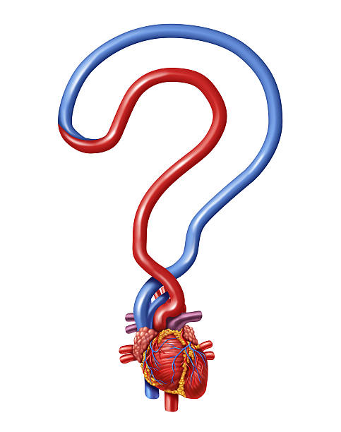 심장 질문 - left ventricle 뉴스 사진 이미지